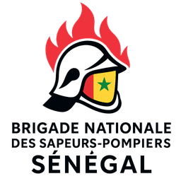 BNSP Logo